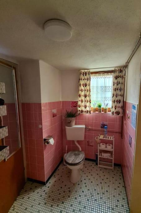 Idyllische Kleine Ferienwohnung Im Schwarzwald Friedenweiler Bagian luar foto